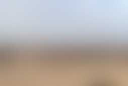 Фотография квеста Тайна Бермудского треугольника от компании СИНДРОМ (Фото 1)