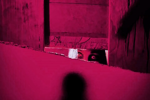 Фотография перформанса Дом Пирс от компании Quest Mogilnik Performance (Фото 1)